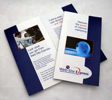 Web Site Express Full Color Tri-Fold Marketing Brochure