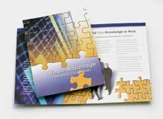 SMMS Wealth Advantage Full Color Eight-Page Marketing Brochure 